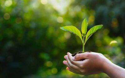 NEW SUSTAINABLE MADE IN ITALY